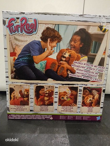Nagu uus furreal hasbroo interaktiivne kaisukaru Cuby (3 foto / 9)