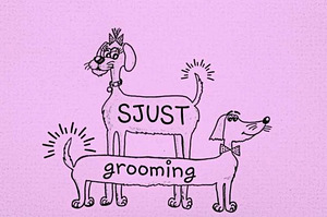 Lemmikloomade karva hooldus salongis "SJUST grooming"