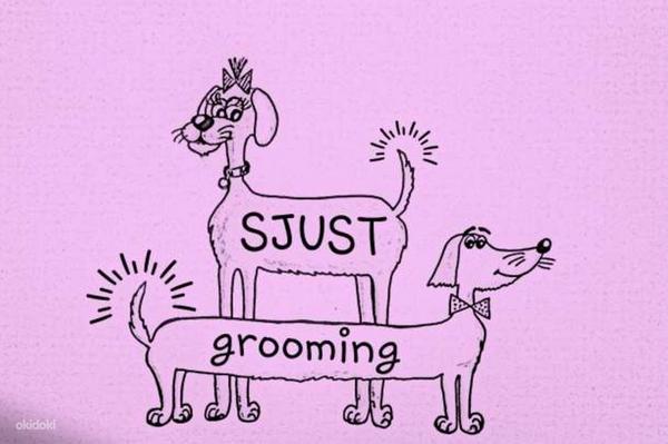 Уход за шерстью домашних животных в салоне «SJUST grooming». (фото #1)