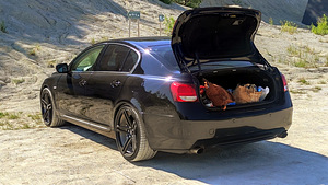 Lexus GS300 3.0 183kw (11 foto / 11)