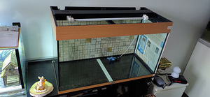 Akvaarium JUWEL 125L. (6 foto / 6)