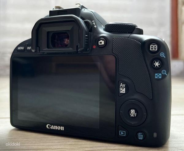 Canon EOS 100D + Canon 18-55 мм (фото #5)