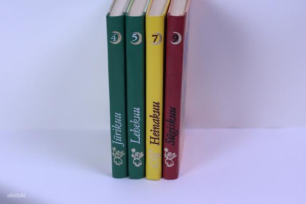 Серия «12 месяцев» 4 книги (фото #4)