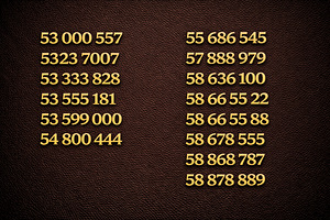 VIP telefoninumber, mobiilinumber (1 foto / 1)