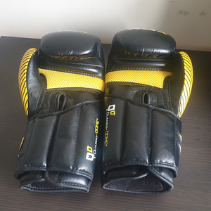 Muay Thai komplekt RDX (5 foto / 9)