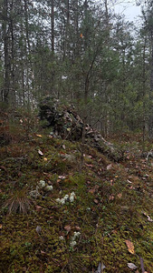 Täis ghillie kostüüm /maskeerimis kostüüm