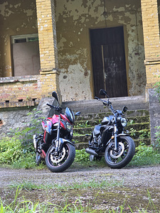 2019 Suzuki GSX-S750 (3 фото из 4)