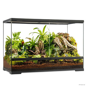 Продается новый террариум ExoTerra 90x45x60 (4 фото из 4)
