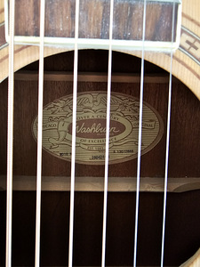 Washburn WD10 NS acoustic kitarr (4 foto / 5)