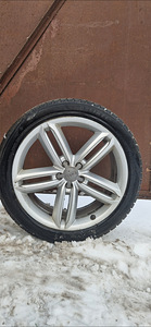 Audi A6 Allroad 20 veljed naastrehvidega (1 foto / 5)