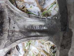 5x100 R15 veljed koos talverehvidega (6 foto / 6)