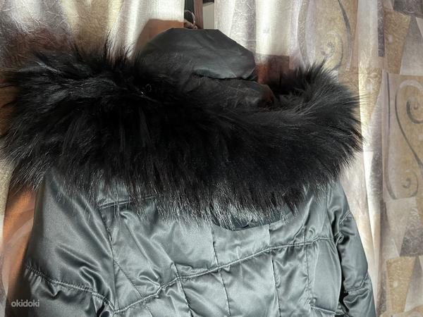 Зимняя куртка. Talvejoppe (фото #6)