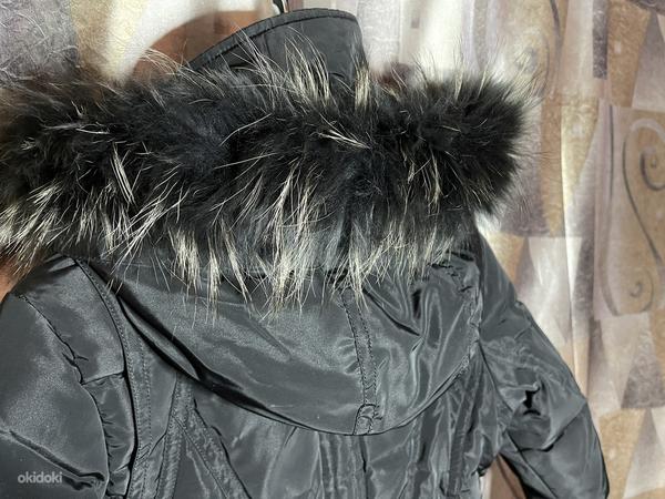 Talve joppe. Зимняя Куртка (фото #3)
