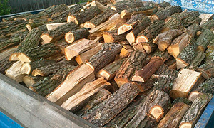 Hakitud lepp 30/40/50. Tarnitakse teile koju. (2 foto / 3)