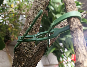 Taaskasutatavad plastikust taimede sidumise klambrid 17 cm (2 foto / 5)