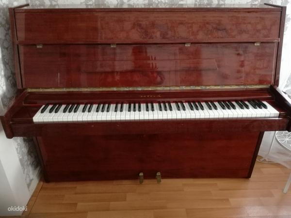 Пианино Riga (фото #1)