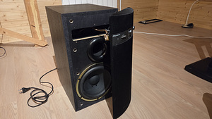 Subwoofer Pioneer (5 foto / 5)