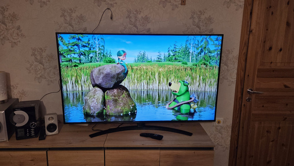 Teler LG 55" (140 cm) Wi-Fi Bluetooth Smart TV