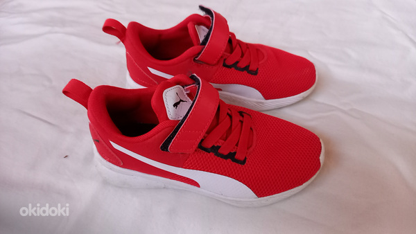 Puma tossud 29