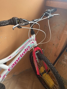 jalgratas (4 foto / 5)