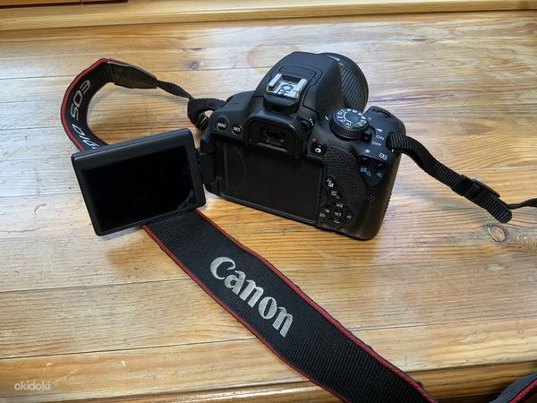 Canon EOS 700D, EFS 18-55, 0.25m/0,8ft (фото #1)