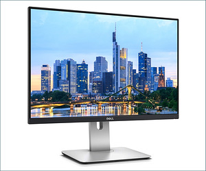 Dell UltraSharp U2415b (2 foto / 2)