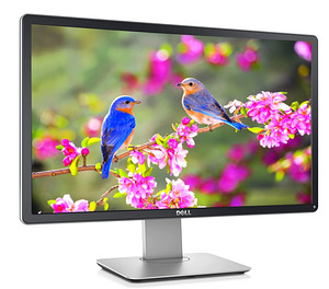 Dell Professional P2314Ht (1 foto / 1)