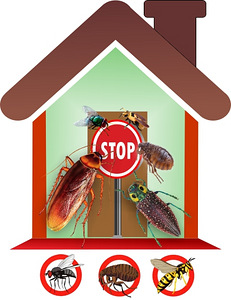 Уничтожение тараканов, клопов, насекомых - Дезинсекция
