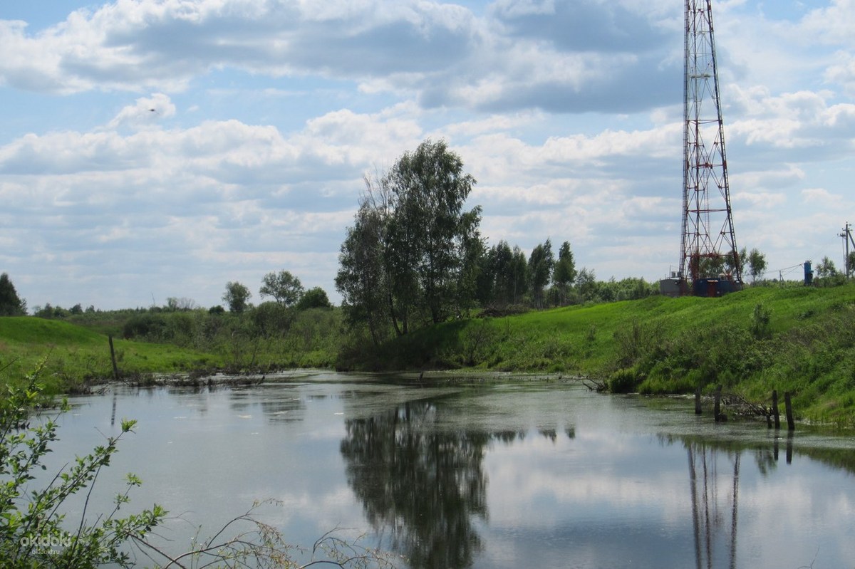 Дубнево михнево