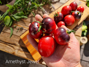 Valik 10 maitsvate kokteilisortide tomatite seemneid !!! (3 foto / 10)