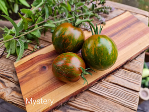 Valik 10 maitsvate kokteilisortide tomatite seemneid !!! (7 foto / 10)