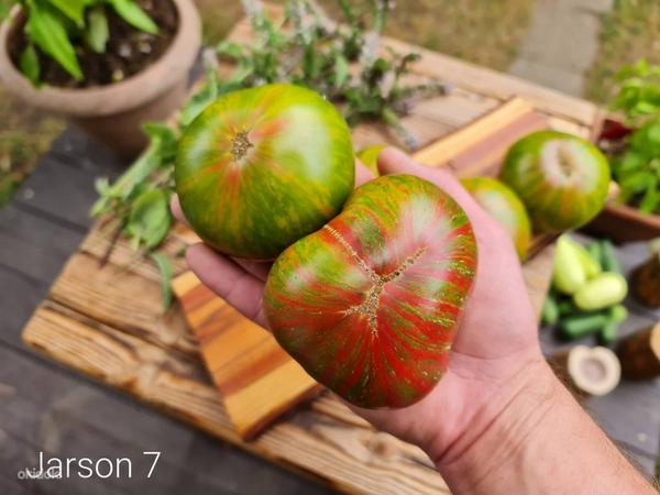 10 сортов крупных и вкусных мясных помидоров! семена. 2 части. (фото #2)