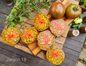 Семена вкусных сортовых томатов (6 фото из 10)