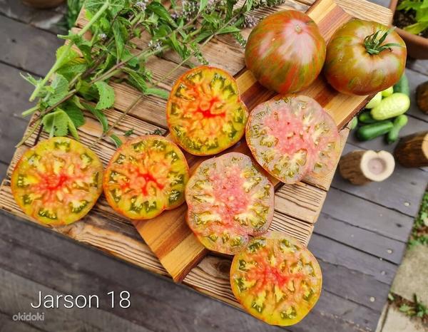 Семена вкусных сортовых томатов (фото #6)