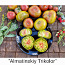 10 sordi maitsev ja eksootiline liha tomatit (seemned) #1 (foto #5)