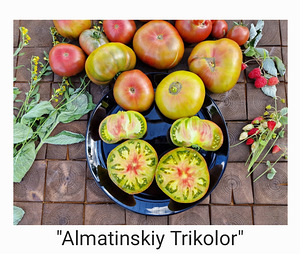 10 sordi maitsev ja eksootiline liha tomatit (seemned) #1 (5 foto / 10)