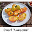 10 сортов вкусных и экзотических томатов DWARF (семена) (фото #3)
