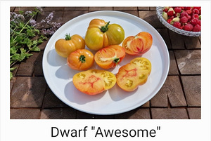 10 sordi maitsev ja eksootiline DWARF tomatit (seemned) (3 foto / 10)