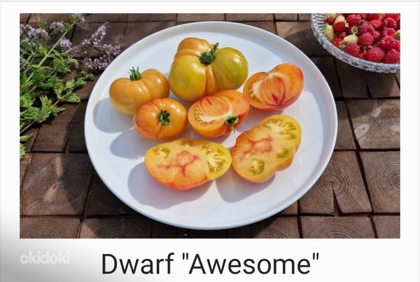 10 sordi maitsev ja eksootiline DWARF tomatit (seemned) (foto #3)