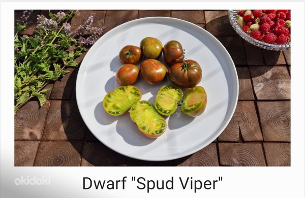 10 сортов вкусных и экзотических томатов DWARF (семена) (фото #4)