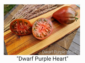 10 sordi maitsev ja eksootiline DWARF tomatit (seemned) (8 foto / 10)