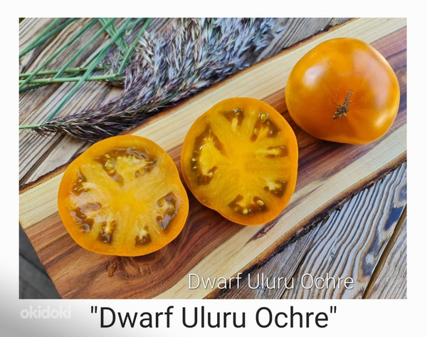 10 сортов вкусных и экзотических томатов DWARF (семена) (фото #10)