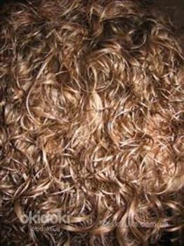 Біо-завивання волосся Киів (фото #6)