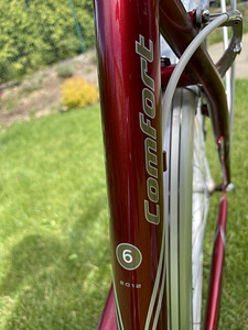 Classic Comfort 6 naiste linnajalgratas (3 foto / 6)