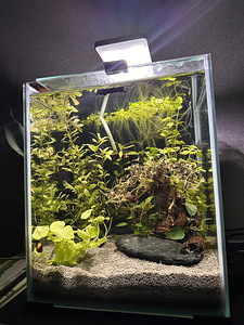 Akvaarium (1 foto / 3)