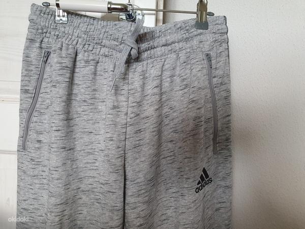 Мужские спортивные штаны adidas M (фото #2)
