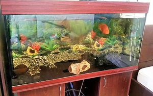 Почти новый аквариум 300 литров