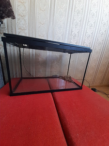 Akvaarium 37,8L (1 foto / 3)