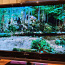Sony KDL-37V4000 37" телевизор (фото #1)