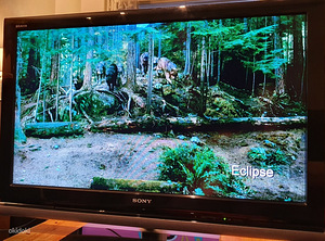 Sony KDL-37V4000 teler 37" (1 foto / 1)
